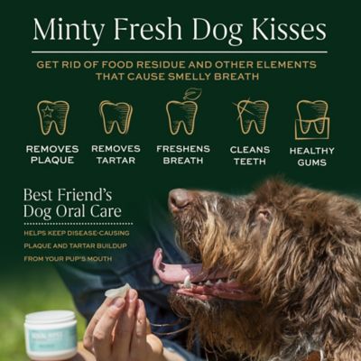 Image showing  Pet Dental Wipes