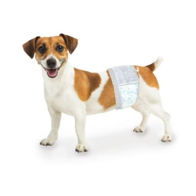 Wee-Wee XS Wee Wee Wetness Indicator Male Dog Wraps, 12 Pack