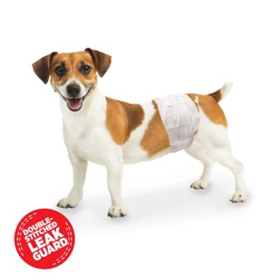 Image showing 5 th Wee-Wee Wetness Indicator Male Disposable Dog Wraps, Extra Small, 12 ct.