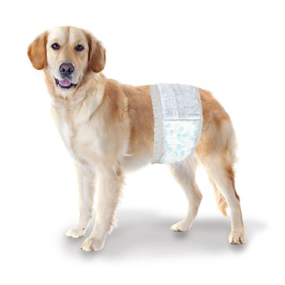 Image showing 5 th Wee-Wee Wetness Indicator Male Disposable Dog Wraps, Medium/Large, 12 ct.