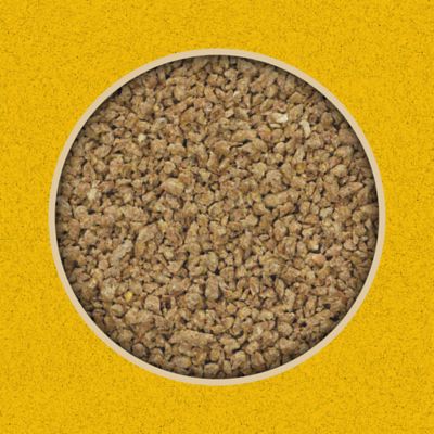 Image showing  16% Layer Crumble Chicken Feed, 50 lb. Bag