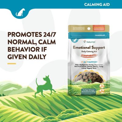 Image showing  Scoopables Emotional Support Daily Calming Aid Supplement