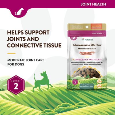 Image showing  Glucosamine DS Plus Level 2 Moderate Joint Care Scoopables Supplement for Dogs, 45 Scoops