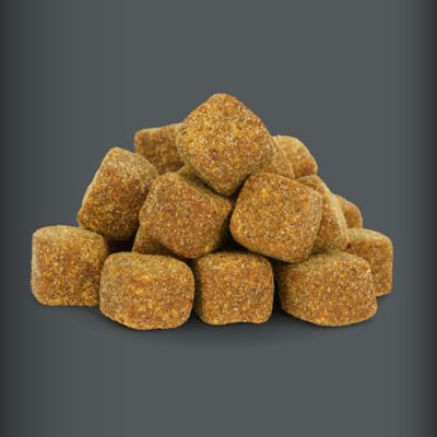 Image showing  Allergy with Immune Support Soft Chewable Supplements for Dogs, 90 ct.