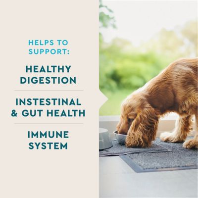 Image showing 5 th VetIQ Probiotic Hickory Smoke Flavored Supplement Soft Chews for Dogs, 60 ct.