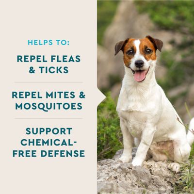 Image showing 6 th VetIQ Soft Chewable Flea and Tick Supplements for Dogs, Hickory Smoke Flavor, 9.5 oz., 60 ct.