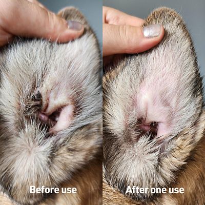 Image showing 5 th Veterinary Formula Clinical Care Ear Therapy Wipes for Dogs and Cats