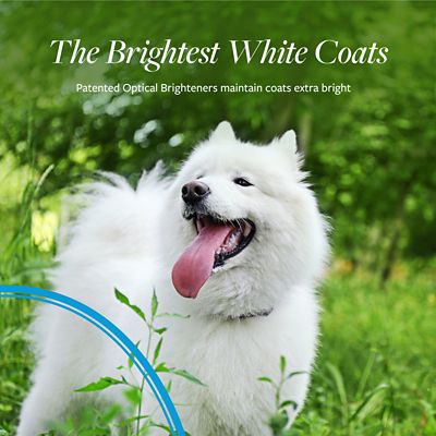 Image showing 5 th Veterinary Formula Smart Coat Complex Snow White Shampoo for Pets, 17 oz.