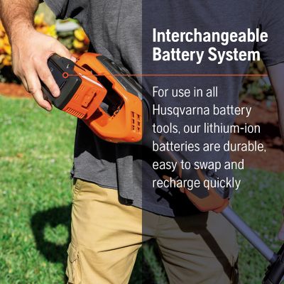 Image showing  320IL Weed Eater 16 in. 40V Straight Shaft Cordless String Trimmer, Battery & Charger Included