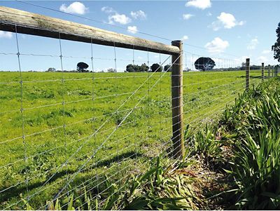 Image showing  330 x 6ft. 3 in. Field Fence, Fixed Knot, 12.5 ga., 17/75/6/330 Deer Fence