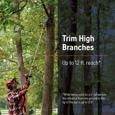 Image showing  Combi Switch + 330iKP 10 in. 40V Pole Saw, Battery and Charger Included