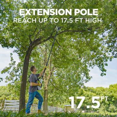 Image showing  11 in. 20V Cordless Pole Saw, Battery and Charger Included