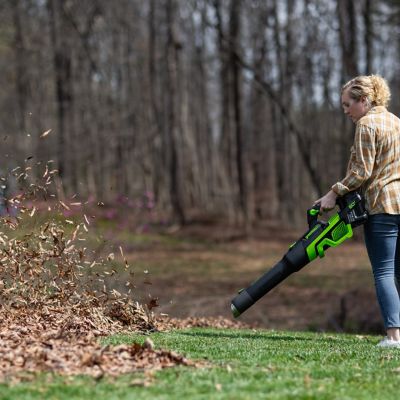 Image showing 8 th Greenworks 180 MPH/660 CFM 60V Cordless Handheld Leaf Blower, Battery and Charger Included