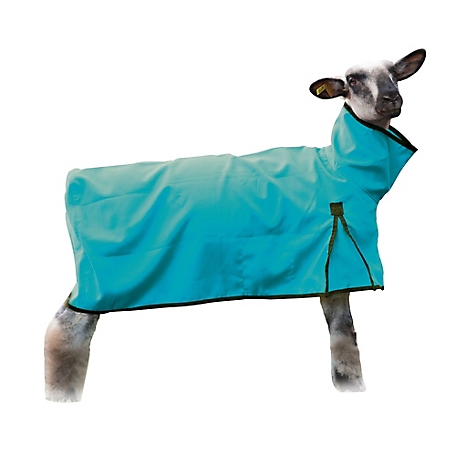 Weaver Livestock Solid Butt Sheep Blanket
