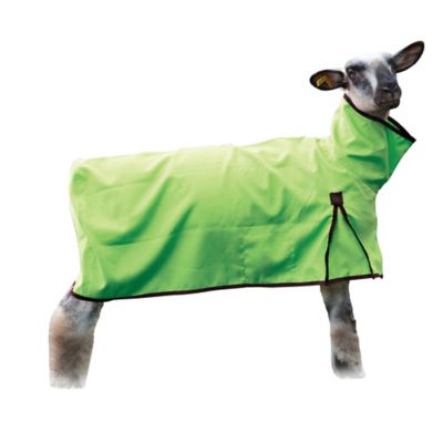 Weaver Livestock Solid Butt Sheep Blanket