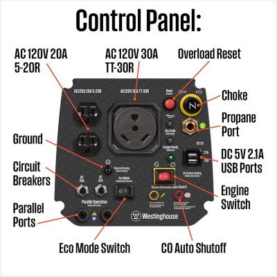 Image showing  2,550/1,900-Watt Dual-Fuel Portable Inverter Generator, RV-Ready, Gas/Propane, CO Sensor