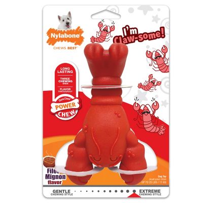 Nylabone Power Chew Filet Mignon Lobster Dog Chew Toy, Medium/Wolf, Up to 25 lb.