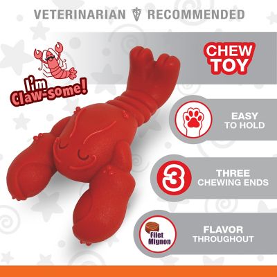 Image showing  Power Chew Filet Mignon Lobster Dog Chew Toy, Medium/Wolf, Up to 25 lb.