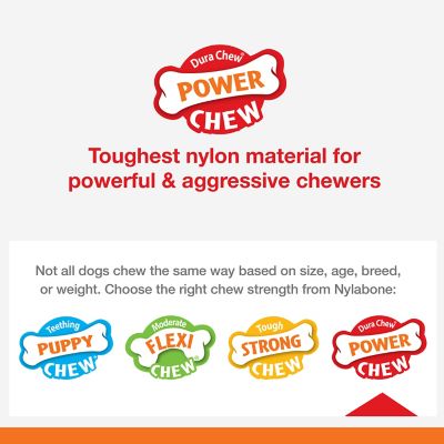 Image showing 5 th Nylabone Power Chew Filet Mignon Lobster Dog Chew Toy, Medium/Wolf, Up to 25 lb.
