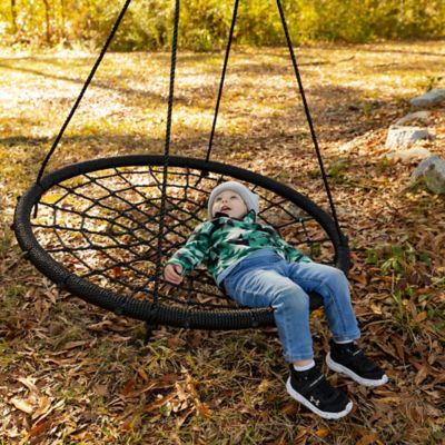 Image showing  Web Swing, 40 in.