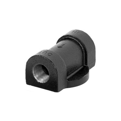 Fill-Rite 1 in. NPT Inlet and Outlet Cast Iron Filter Head