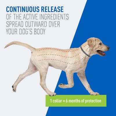 Image showing  Plus Flea and Tick Collar for Dogs and Puppies, 6 Months Protection