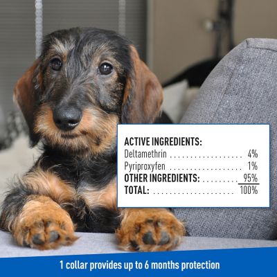 Image showing 6 th Adams Plus Plus Flea and Tick Collar for Dogs and Puppies, 6 Months Protection