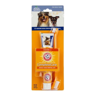 Image showing  Complete Care Dental Kit for Dogs with Chicken Flavor Toothpaste, 2.5 oz.