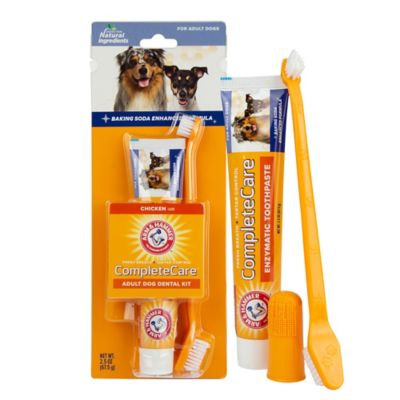 Image showing  Complete Care Dental Kit for Dogs with Chicken Flavor Toothpaste, 2.5 oz.