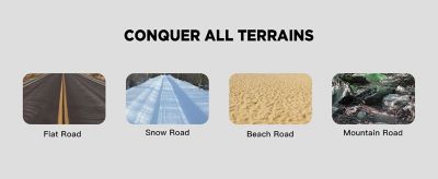 Image showing 9 th Young Electric 20 in. E-Flow Off-Road/Fat Tire Folding Electric Bicycle,Denim Blue