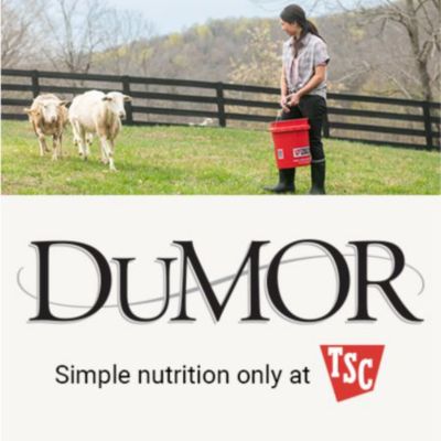 Image showing  Pelleted Duck Feed, 50 lb. Bag