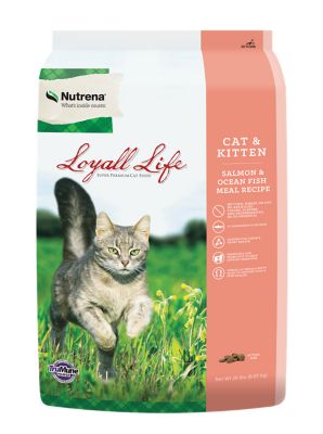 Nutrena Loyall Life Cat and Kitten Salmon and Ocean Fish Meal Recipe Dry Cat Food, 20 lb. Bag
