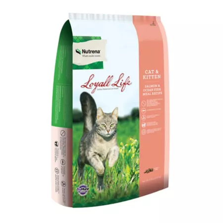 Nutrena Loyall Life All Life Stages Salmon and Saltwater Fish Meal Recipe for Indoor/Outdoor Dry Cat Food 20 lb Bag Dry Cat Food