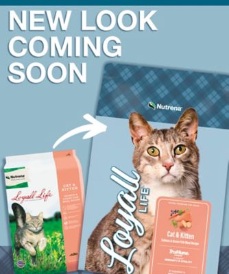 Image showing  All Life Stages Indoor/Outdoor Salmon and Ocean Fish Meal Recipe Dry Cat Food, 20 lb. Bag