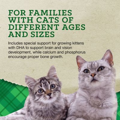 Image showing  All Life Stages Indoor/Outdoor Salmon and Ocean Fish Meal Recipe Dry Cat Food, 20 lb. Bag