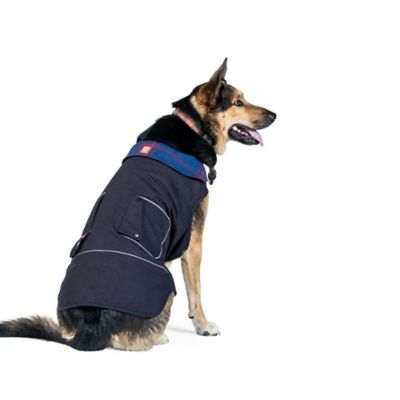 Image showing  Shop Dog Jacket