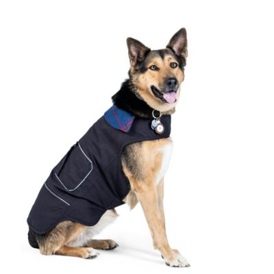 Dovetail Workwear Shop Dog Jacket