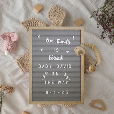 Flash Furniture Wood Frame Letter Board with 389 PP Letters and Canvas Carry Bag