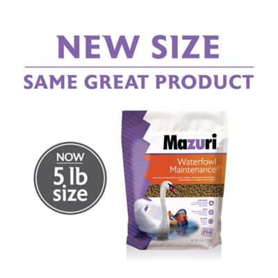 Image showing  Waterfowl Maintenance Duck & Geese Food, 5 lb.