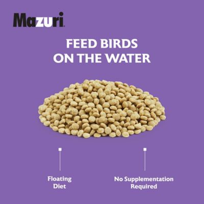 Image showing  Waterfowl Maintenance Duck and Geese Food, 25 lb. Bag