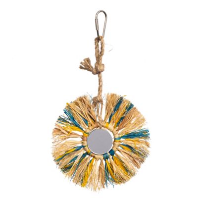 Prevue Pet Products Playfuls Preen and Pacify Sunburst Bird Toy
