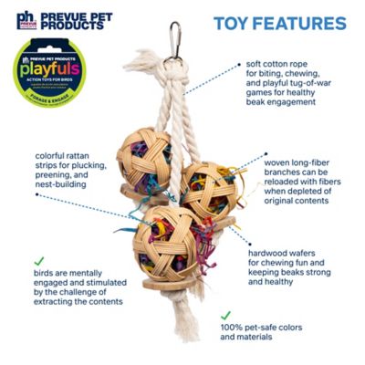 Image showing  Cluster of Fun Playfuls Forage and Engage Bird Toy