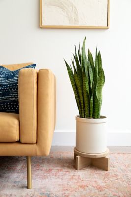 Image showing  4 oz. Varathane Less Mess Wood Stain