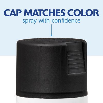 Image showing 6 th Rust-Oleum 12 oz. Rust-Oleum Painter's Touch 2X Ultra Cover Spray Paint, Satin