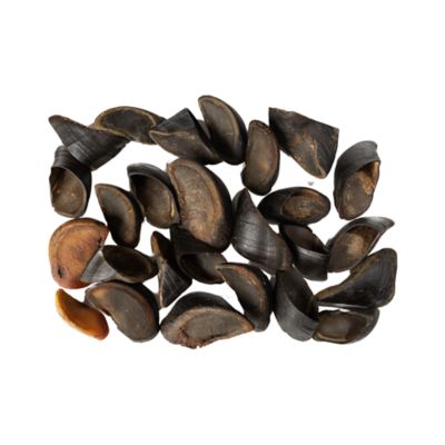 JoJo Modern Pets All-Natural Cow Hooves Dog Chew Treats