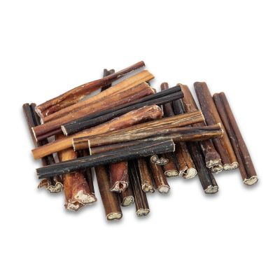 JoJo Modern Pets Standard All-Natural Beef Bully Stick Dog Treats, 6 in.