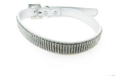 Buddy G's Multi-Row Crystal Rhinestone Leather Dog Collar, Silver