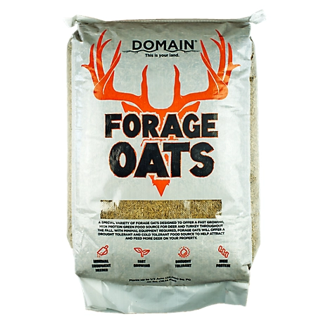 Domain Outdoor Domain Forage Oats