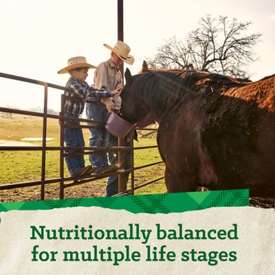 Image showing 7 th Nutrena Triumph 12-8 Pelleted Horse Feed, 50 lb. Bag