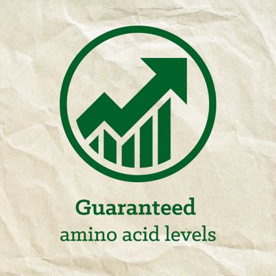 Image showing 9 th Nutrena Triumph 12-8 Pelleted Horse Feed, 50 lb. Bag